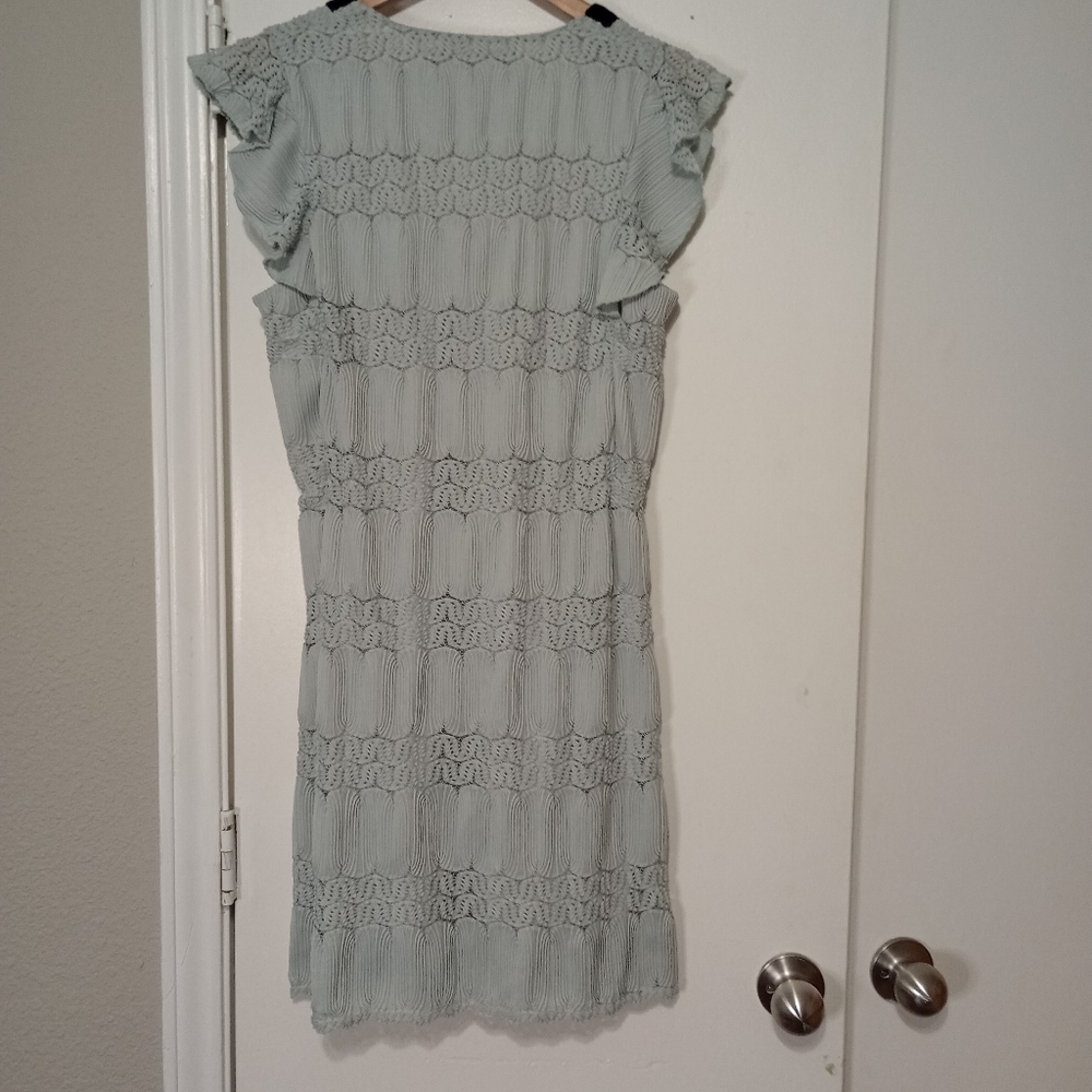 Anthro eva Franco cata swing dress Romantic Coquette - Picture 5 of 9